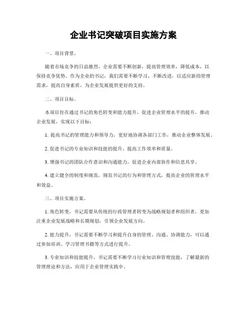 企业书记突破项目实施方案