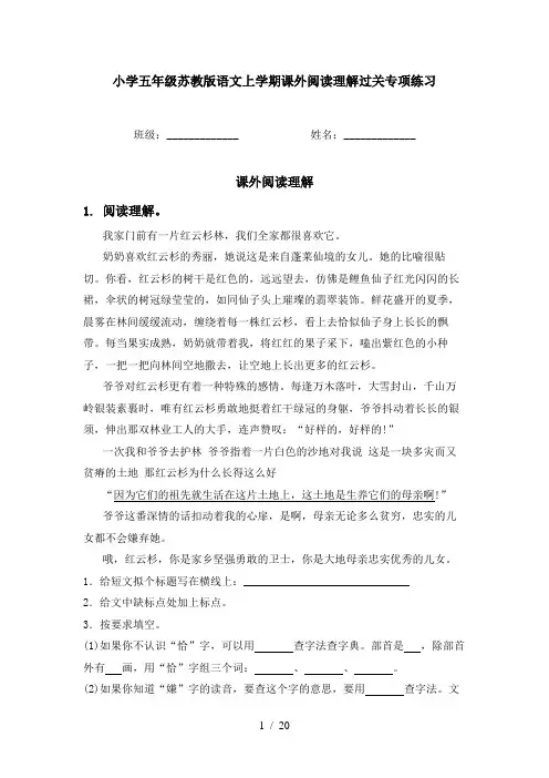 小学五年级苏教版语文上学期课外阅读理解过关专项练习