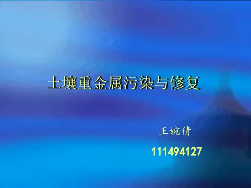 土壤重金属污染及治理
