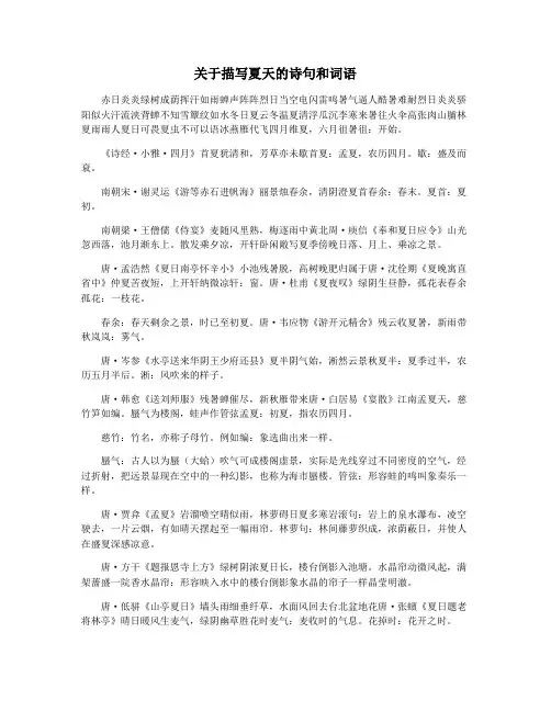 关于描写夏天的诗句和词语