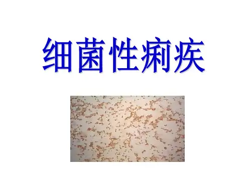 细菌性痢疾与霍乱(护本内科护理学)
