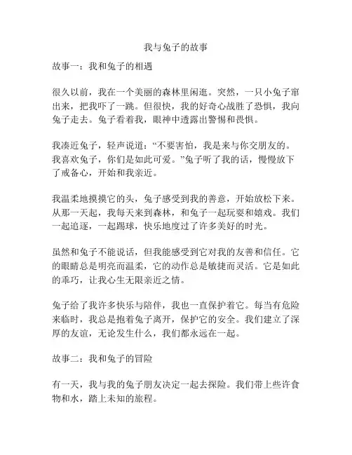 我与兔子的故事