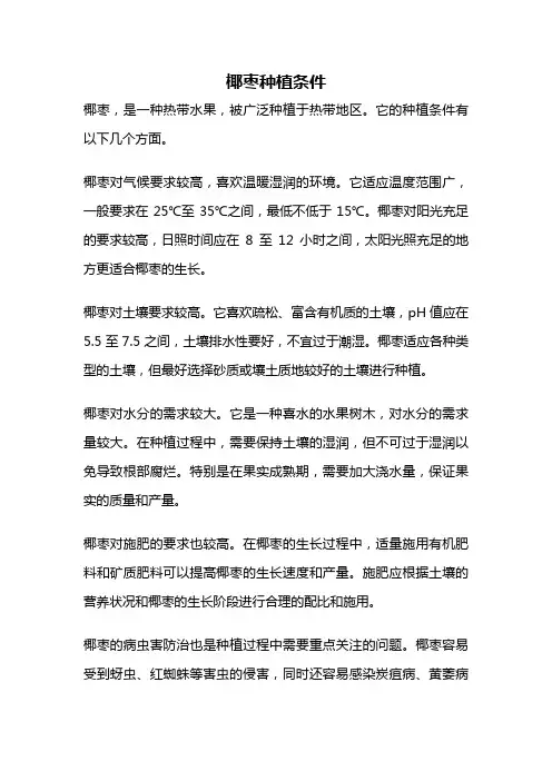 椰枣种植条件