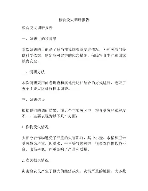 粮食受灾调研报告