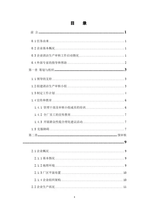 民达电镀厂清洁生产审核报告