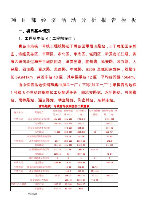 工程项目经济活动分析模板 (2)