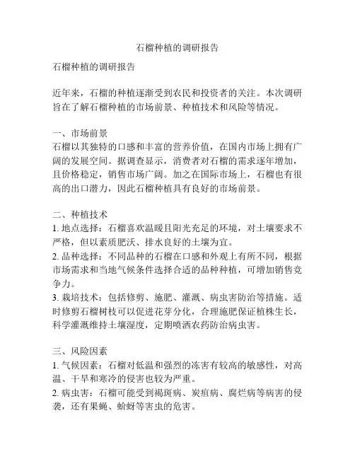 石榴种植的调研报告