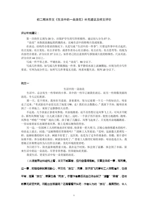 《生活中的一朵浪花》样文及评分