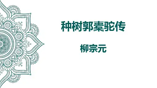《种树郭橐驼传》ppt课件42张