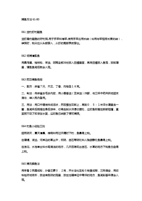 捕鱼方法61-80
