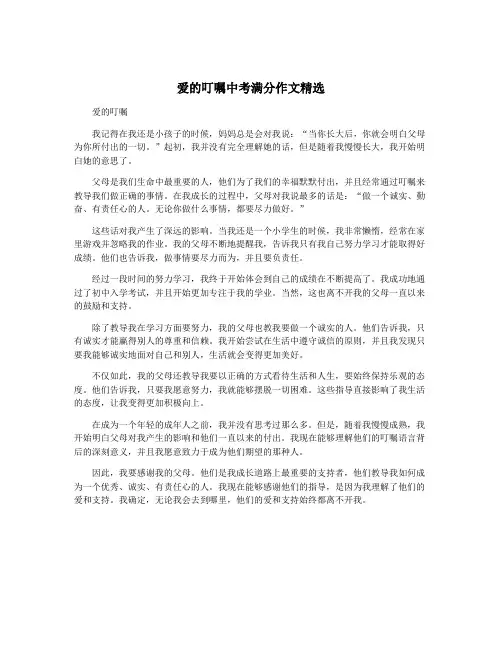 爱的叮嘱中考满分作文精选