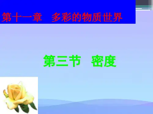 密度ppt22 人教版优秀课件