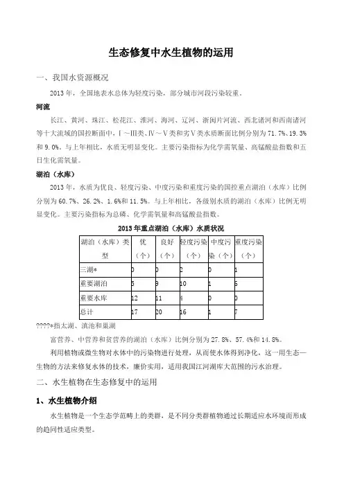 生态修复中水生植物的运用