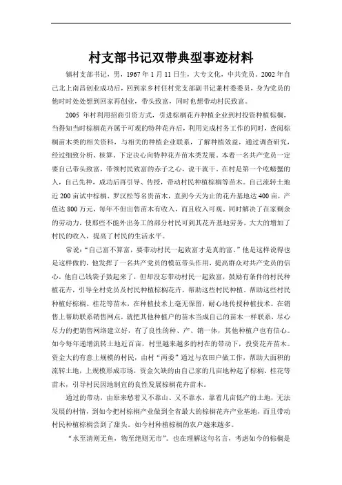 优秀的村支部书记双带典型事迹经典范文