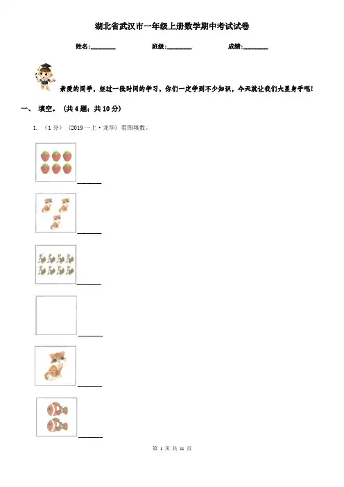 湖北省武汉市一年级上册数学期中考试试卷
