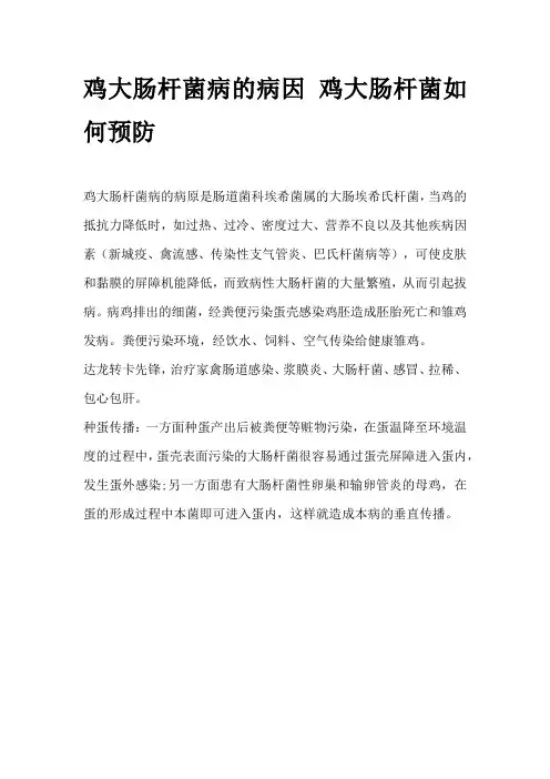 鸡大肠杆菌病的病因 鸡大肠杆菌如何预防