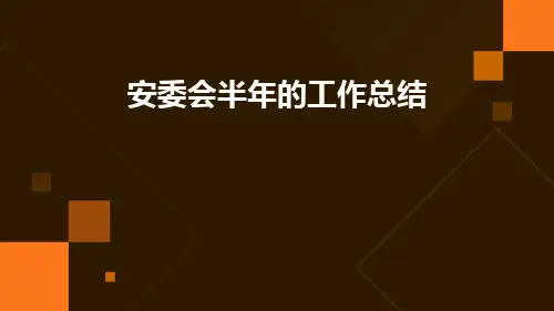 安委会半年的工作总结PPT
