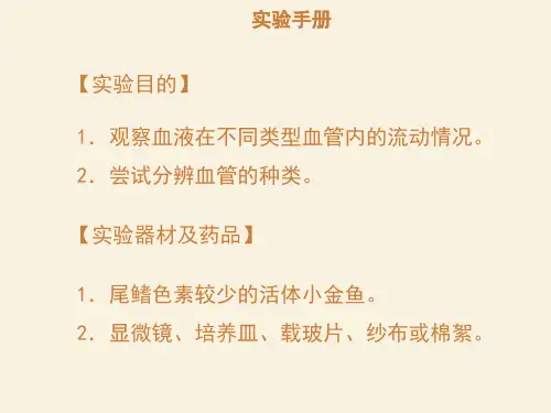 (课件)实验十三观察小鱼尾鳍内血液的流动(中考生物实验手册总复习【精选】)