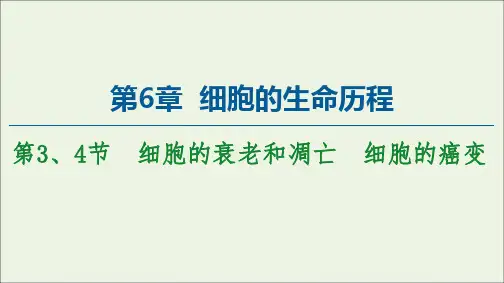 2021年高中生物第6章细胞的生命历程第34节细胞的衰老和凋亡细胞的癌变课件人教版必修1