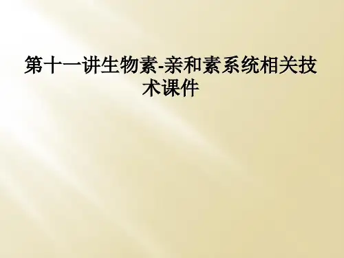 第十一讲生物素-亲和素系统相关技术课件