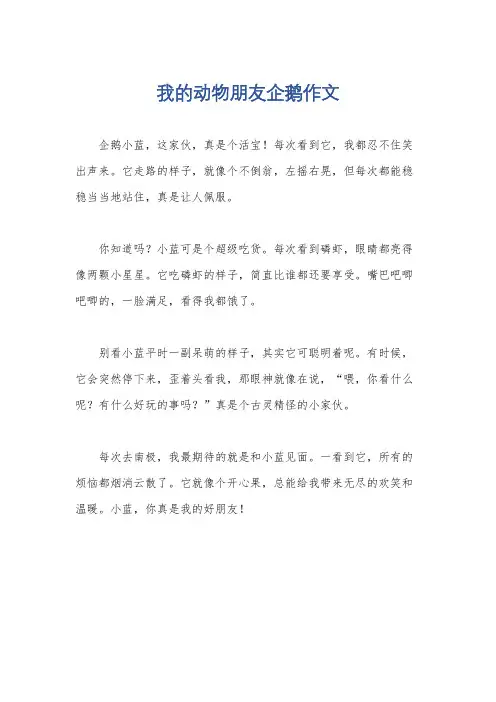 我的动物朋友企鹅作文
