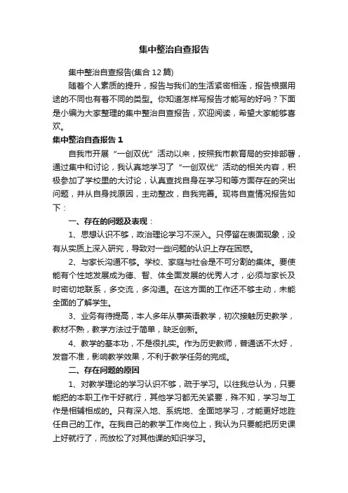 集中整治自查报告