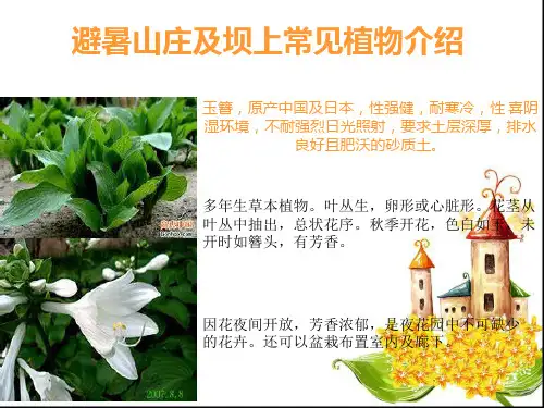 山庄及坝上常见植物介绍
