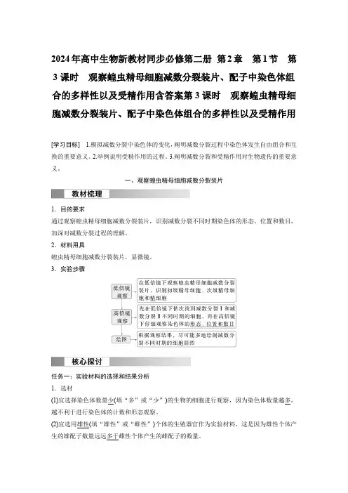 2024年高中生物新教材同步必修第二册 第2章 第1节 第3课时 观察蝗虫精母细胞含答案
