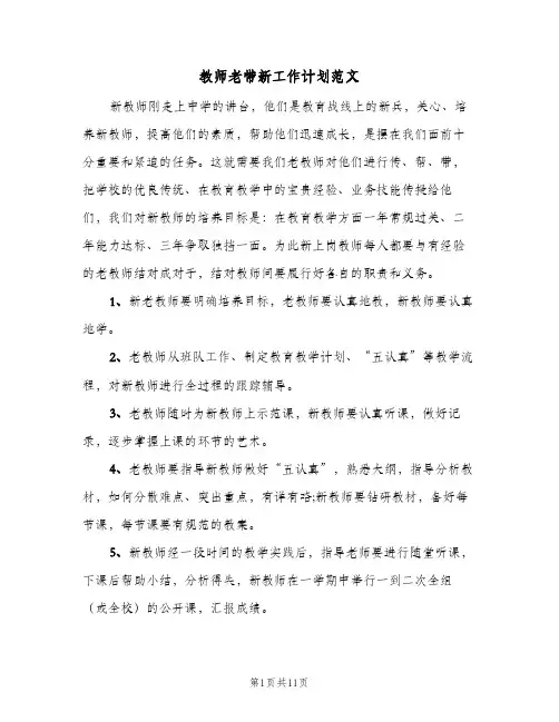 教师老带新工作计划范文（五篇）