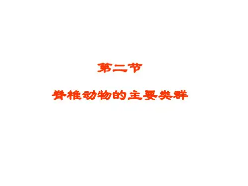 【初中生物】第二节脊椎动物课件