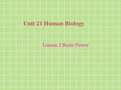 《brainpower》课件1(21张PPT)(北师大版选修7)