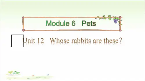 三年级(下)英语公开课-Module 6 Pets Unit 12 Whose rabbits ar