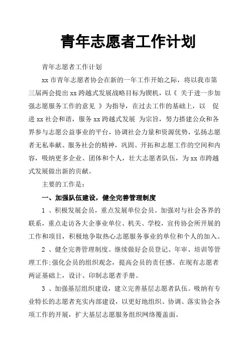 青年志愿者工作计划