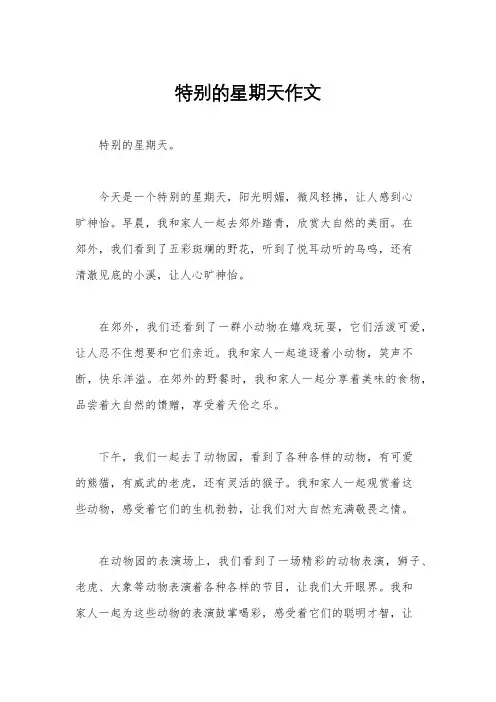特别的星期天作文