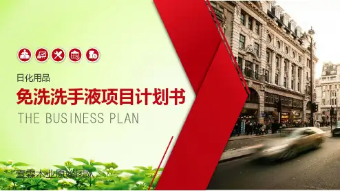 免洗洗手液项目计划书,创业计划书