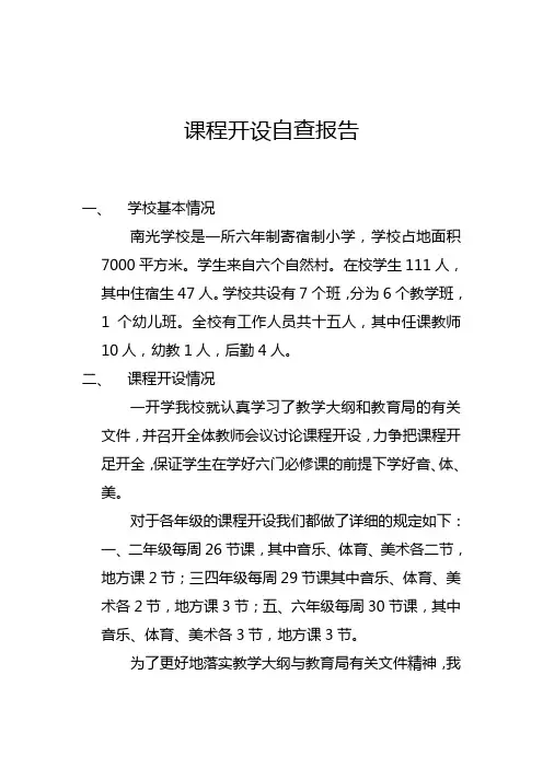 课程开设自查报告