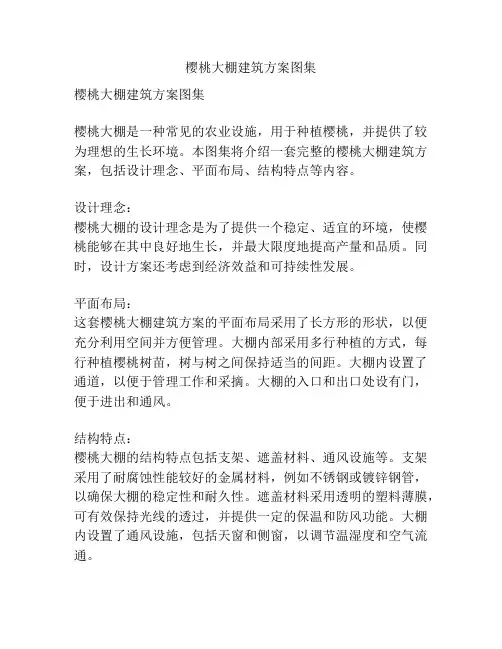 樱桃大棚建筑方案图集