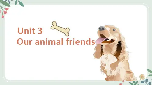 Unit3Ouranimalfriends(课件)译林版英语五年级上册