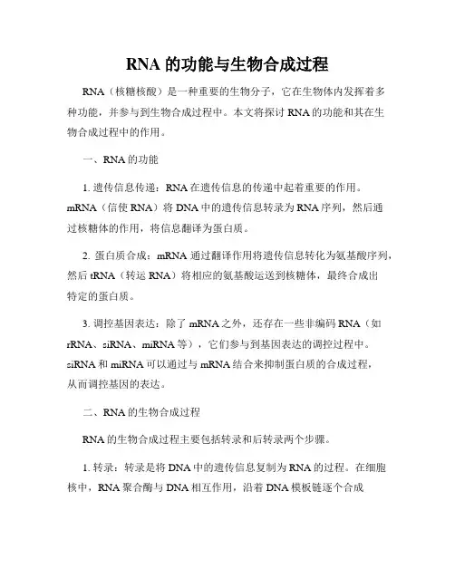 RNA的功能与生物合成过程