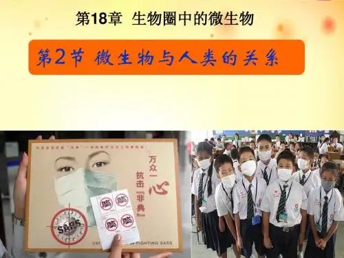 北师大版生物八年级上册18章2节微生物与人类的关系精品课件