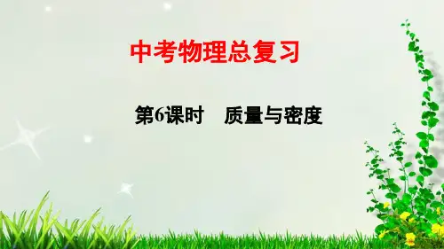 中考物理总复习——6 质量与密度