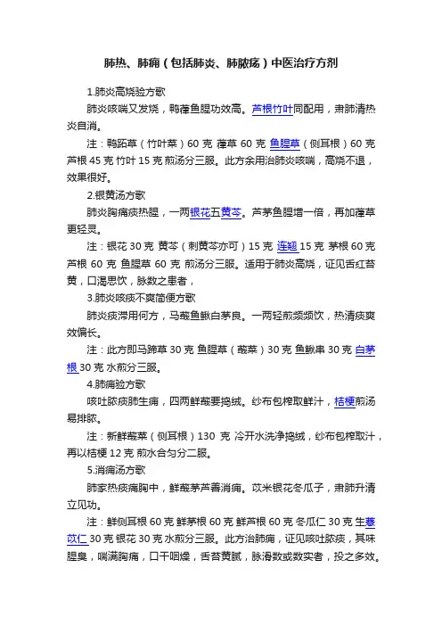 肺热、肺痈（包括肺炎、肺脓疡）中医治疗方剂