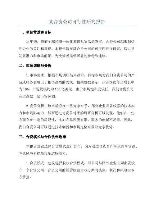 某合资公司可行性研究报告