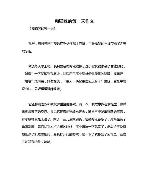 和猫咪的每一天作文