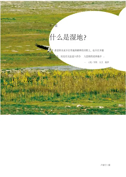 《认识湿地》.