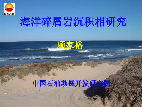 海洋碎屑岩沉积相研究-顾家裕