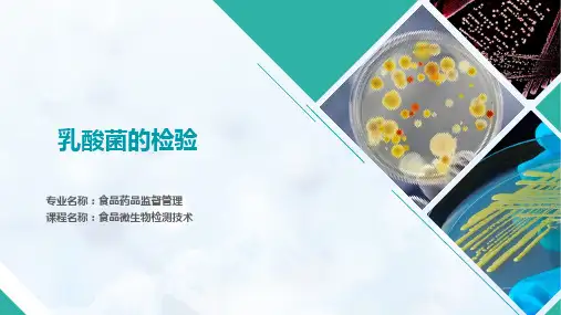 乳酸菌的检验(11-12)