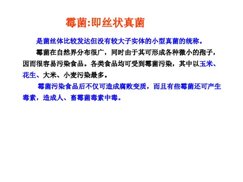霉菌污染鉴别及注意事项