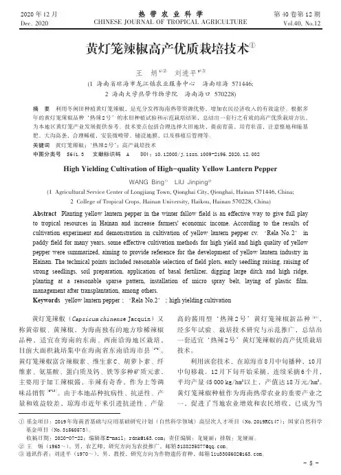 黄灯笼辣椒高产优质栽培技术