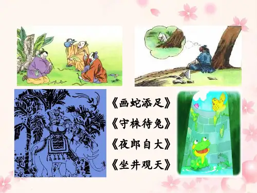 《井底之蛙》教学PPT课件